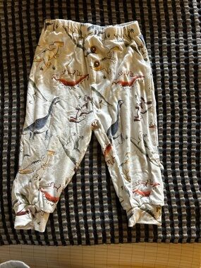 Bamboo Dinosaur Pajama Bottoms